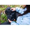 imageGerber Gear Folding Spade ETool HeavyDuty Camping Shovel with Serrated Edge Compact Survival Gear BlackGorge Shovel