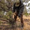 imageGerber Gear Gator Machete JR 3100075918 Dual Purpose Blade