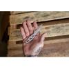 imageGerber Gear ParaframeParaframe Mini Serrated Edge