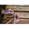 imageGerber Gear ParaframeParaframe Mini Serrated Edge