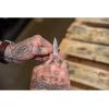 imageGerber Gear ParaframeParaframe Mini Serrated Edge