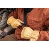imageGerber Gear Seatbelt Strap Cutter Escape Tool with Lanyard Hole and Glass Breaker Black 5 x 25 x 1 inches Pocket SizeBlack