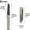 imageGerber Gear Pledge Pocket Knife with Pocket Clip  37quot Full Panel Plain Edge Blade Folding Knife  EDC Gear and Equipment  Lichen Green