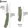 imageGerber Gear LST  EDC Pocket Knife  Survival Tactical Tool for Travel Camping ampamp Outdoor Adventure  Lightweight ampamp Compact Folding Knife  Stainless Steel Blade  GrayGreen